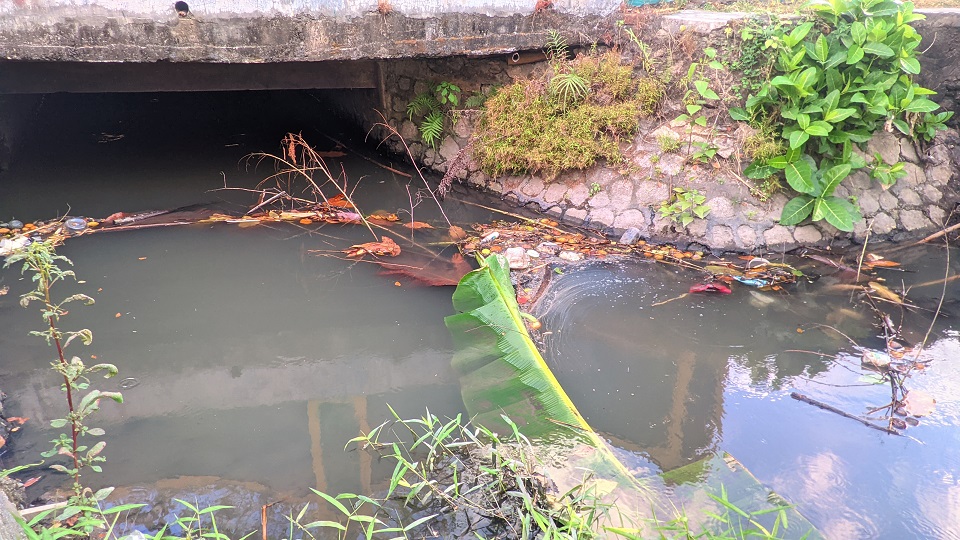 Pemkab Bantul Imbau Tidak Buang Limbah Jeroan Hewan Kurban Di Kali, Ini ...