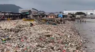 Pandawara ajak warga lampung bersih pantai