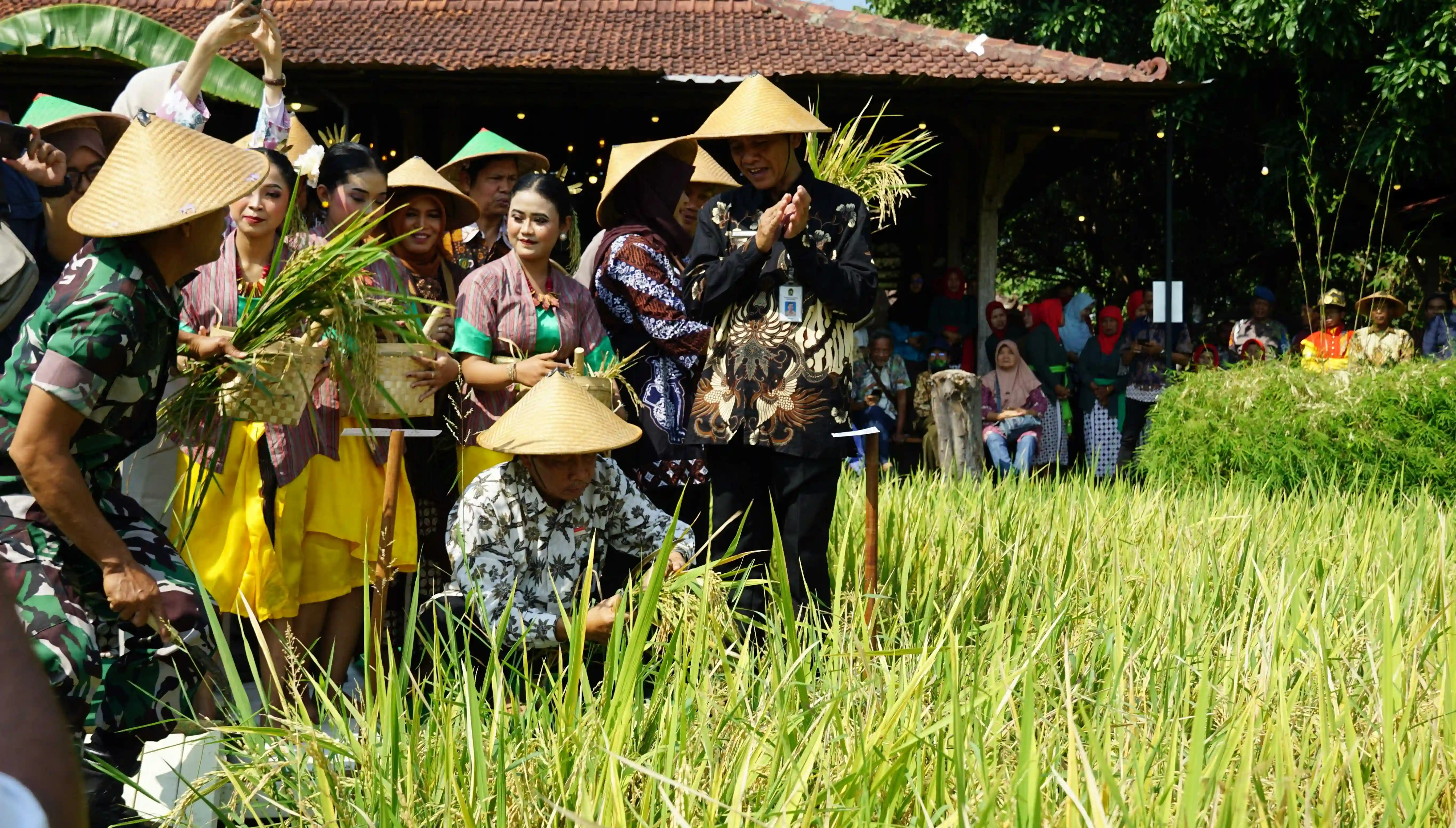 Pemerintah Alokasikan Rp 144,6 Triliun untuk Stabilitas Harga dan Ketahanan Pangan 2025