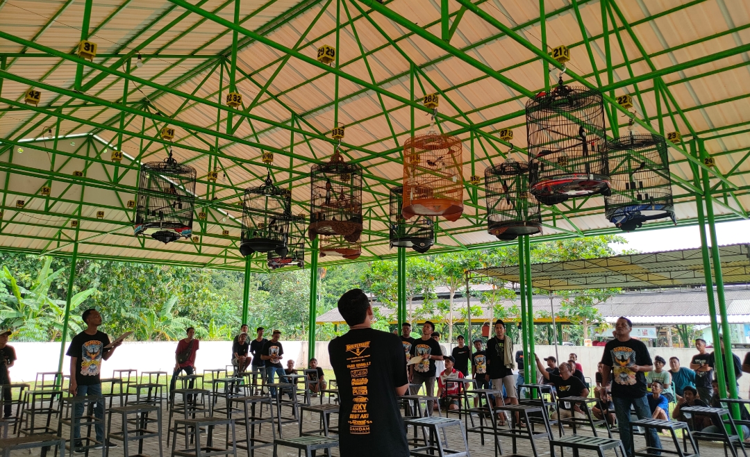 KMKP Gelar Lomba Burung Hias di Kulon Progo, Dukung Pelestarian Satwa Liar