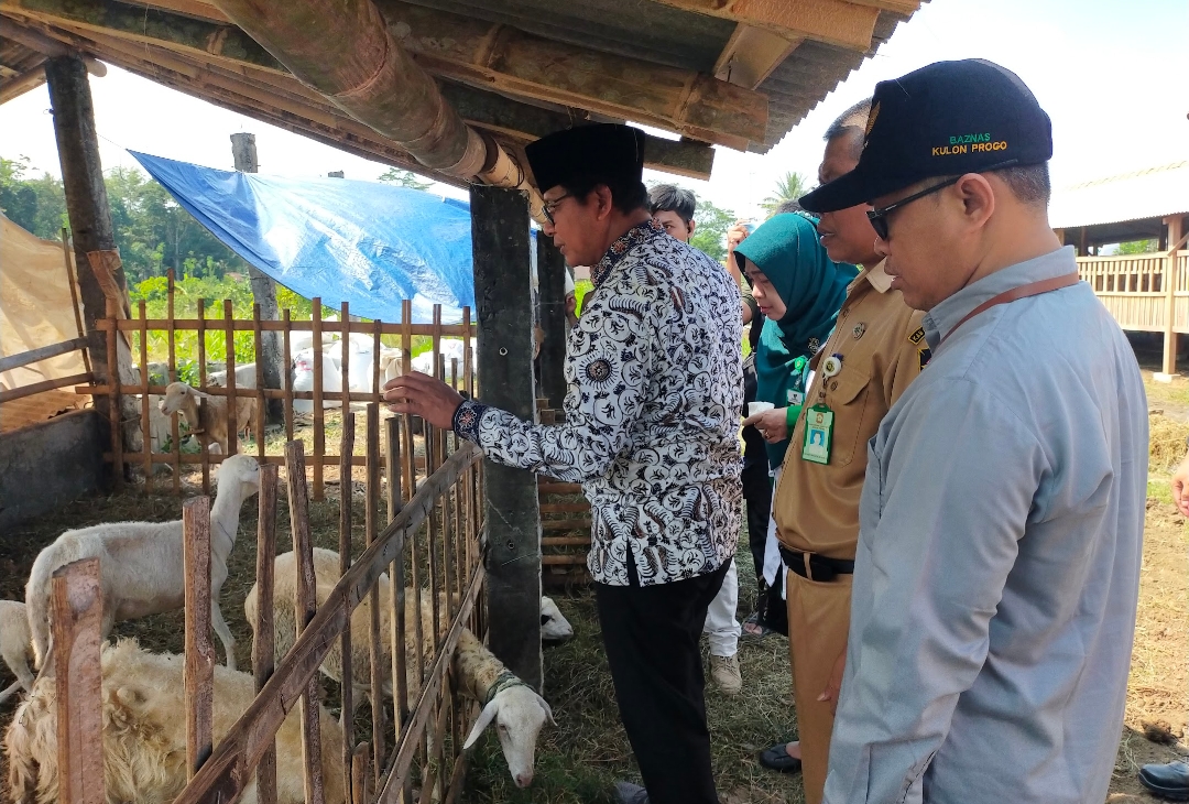 Baznas RI Salurkan puluhan Hewan Kurban di Kulonprogo