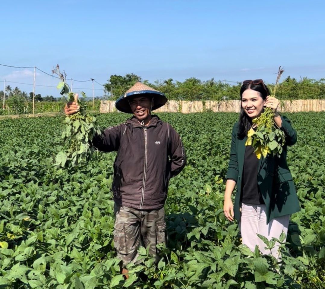 Malika, Kedelai Hitam Gunungkidul yang Bawa Harapan Baru Petani