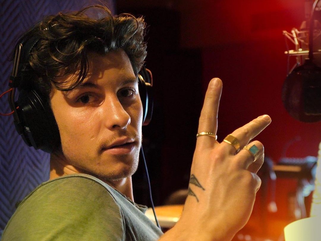 Akun Instagram Shawn Mendes Digeruduk Fans dengan Komentar Ejekan, Ada Apa?