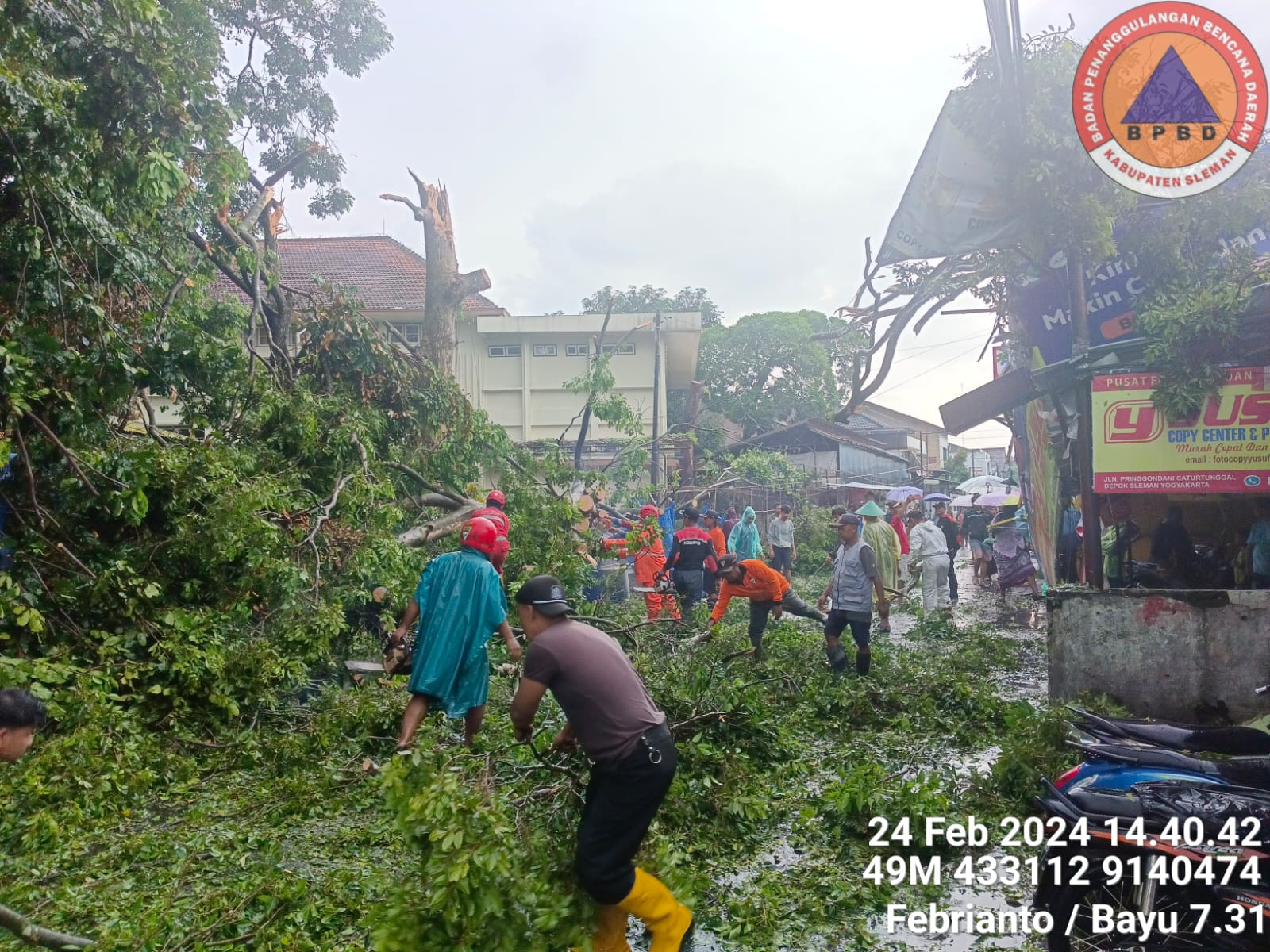 Puluhan Pohon Tumbang dan Atap Rumah Rusak Akibat Hujan Angin di Sleman, Satu ...