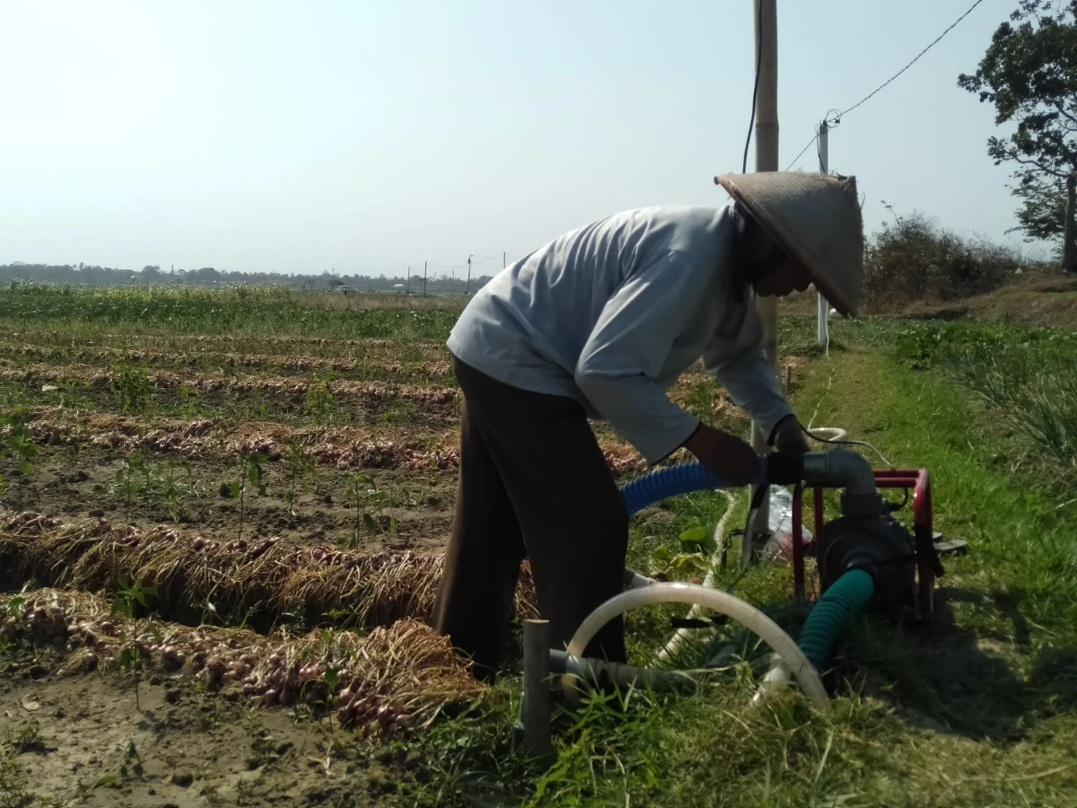 Elektrifikasi Lahan Pasir