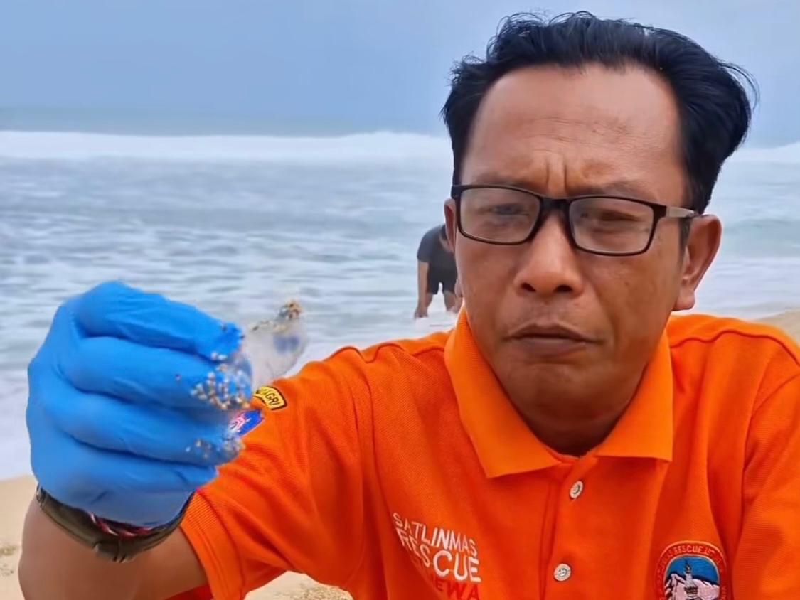 Jelang Libur Panjang, Wisatawan Pantai Gunungkidul Diimbau Hati-Hati Dengan Kemunculan Ubur-Ubur