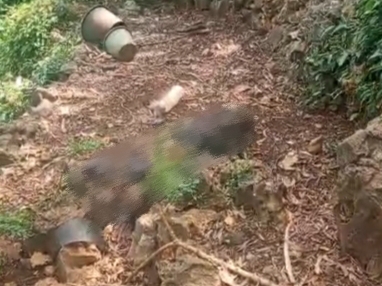 Warga Gunungkidul Digegerkan Oleh Penemuan Mayat di Ladang, Polisi: Sudah Meninggal Lebih Dari ...