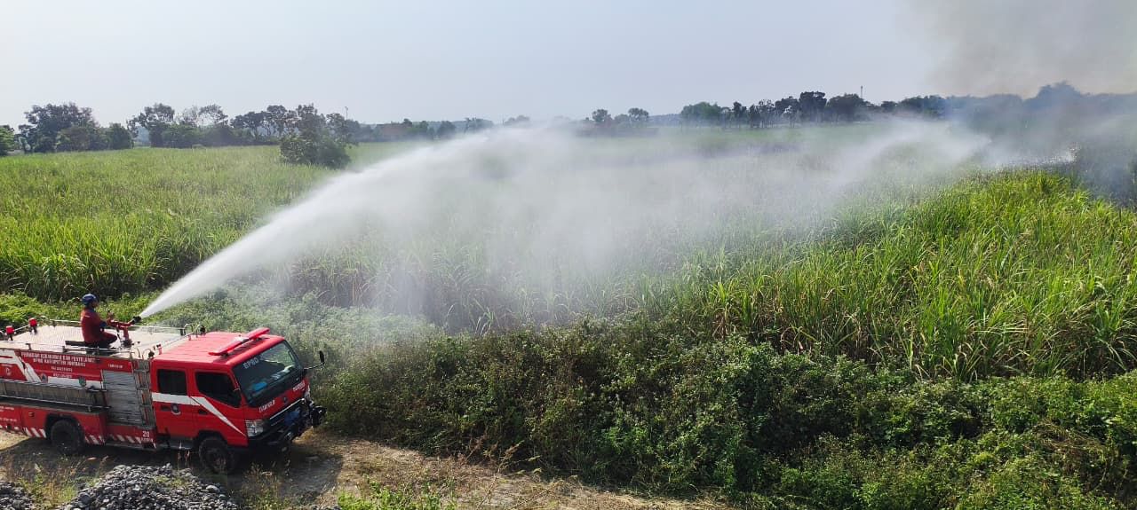 Kebakaran Hutan Meluas di Sejumlah Daerah, Cuaca Ekstrem di Subang Tewaskan Satu Warga