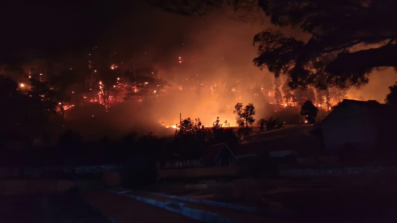 Karhutla Meluas, 200 Hektare Lahan di Enrekang Terbakar, Api Sempat Mendekati Permukiman dan ...
