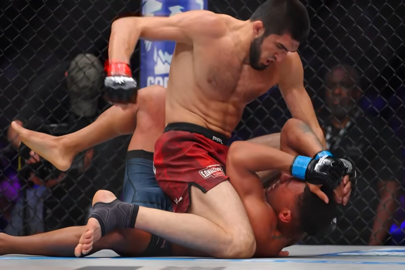 Hasil PFL New York: Amru Magomedov Tetap Tak Terkalahkan Usai TKO Angel Alvarez, ...