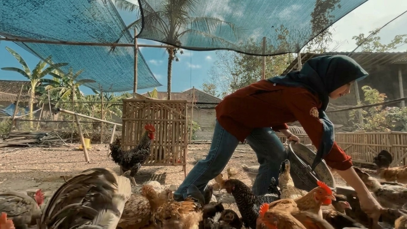 Modal Rp500 Ribu dari Tabungan Beasiswa, Mahasiswi UGM Ini Bangun Peternakan Ayam Mandiri