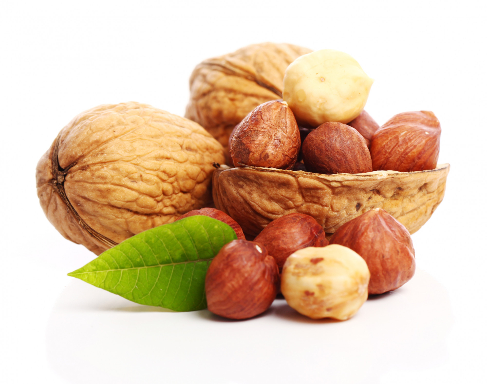 fakta-hazelnut-dan-kemiri-yang-viral-karena-disebut-sama-apa-saja