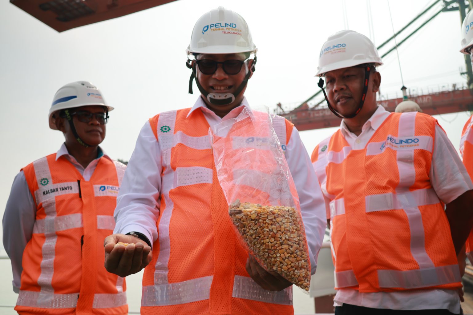 Harga Jagung Pakan Naik, Pemerintah Impor 500 Ribu Ton Via Bulog