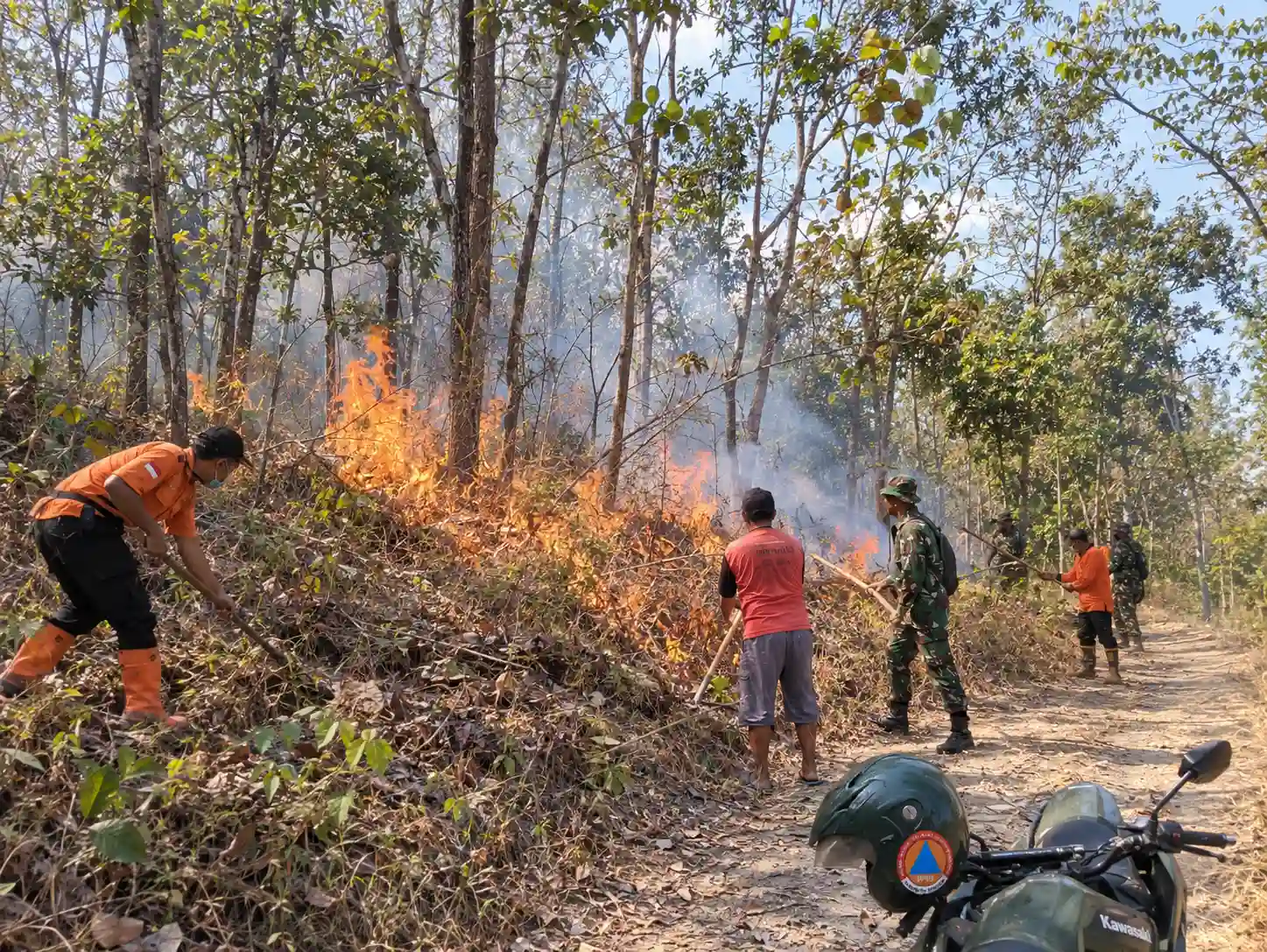 62 Hektare Lahan Terbakar di Sejumlah Daerah, BNPB Ingatkan Warga Waspadai Karhutla