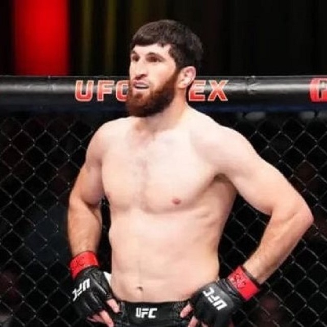 Magomed Ankalaev Juara Baru Kelas Berat Ringan UFC usai Taklukkan Alex Pereira di ...