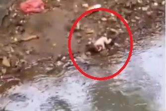 Geger Penemuan Jasad Bayi Perempuan di Bogor, Tengkurap di Pinggir Kali Ciluar Tanpa ...