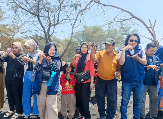 Cegah Kepunahan Penyu, Karang Taruna Bantul Lepas Ratusan Tukik di Pantai Goa Cemara